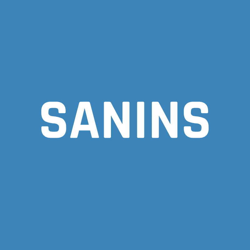 sanins管理体系图标
